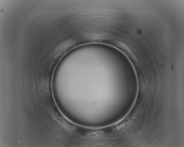 X0000062840447200601201642