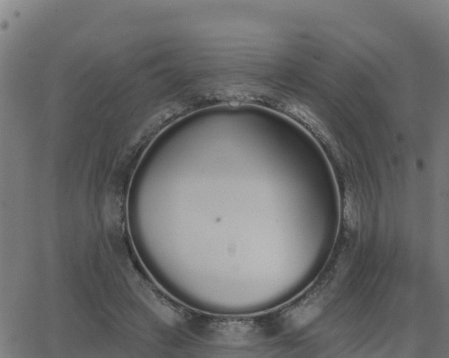 X0000062840449200601201642