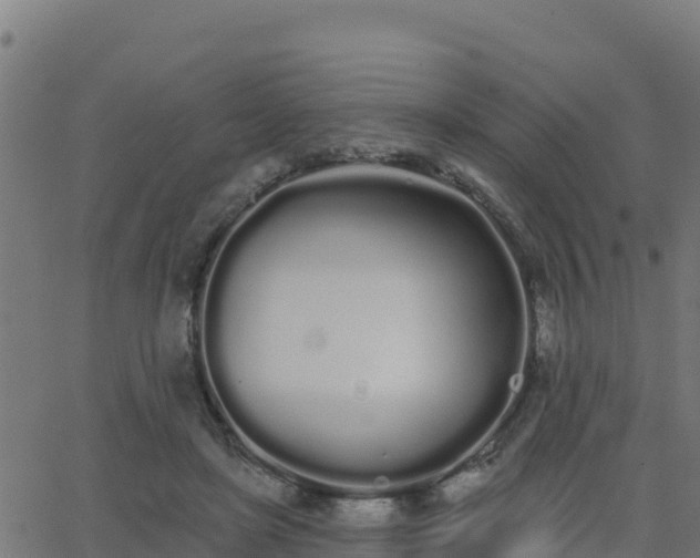 X0000062840451200601201642