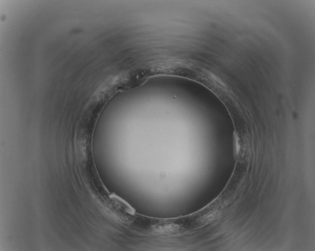 X0000062840452200601201642