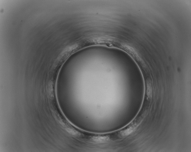 X0000062840453200601201642