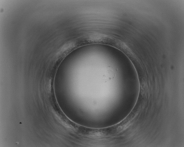 X0000062840454200601201642