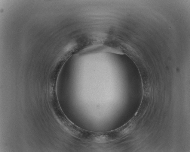 X0000062840456200601201642