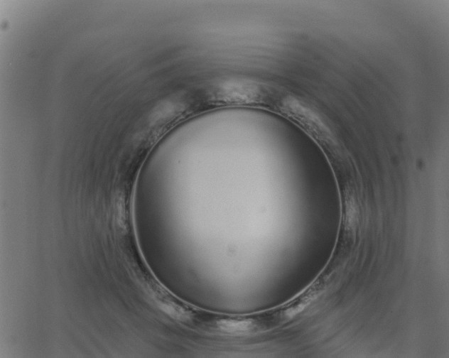 X0000062840457200601201642