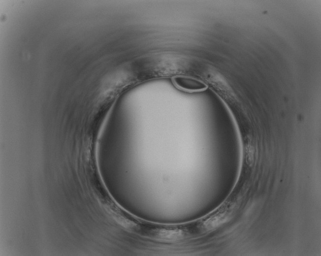 X0000062840458200601201642