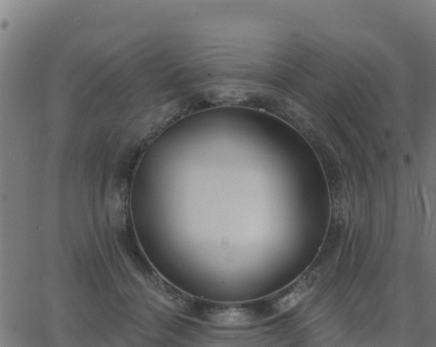 X0000062840460200601201642