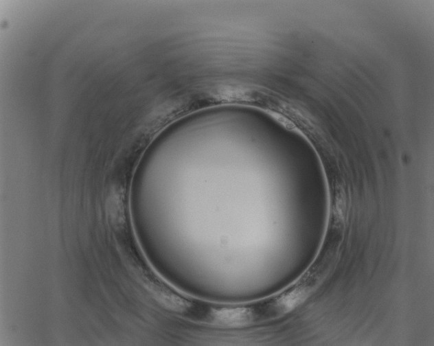 X0000062840461200601201642