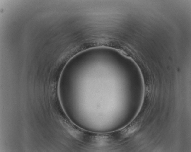 X0000062840462200601201642