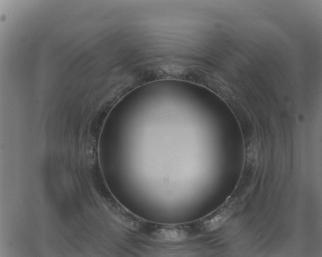 X0000062840464200601201642