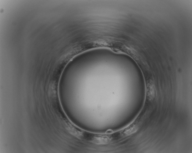 X0000062840466200601201642