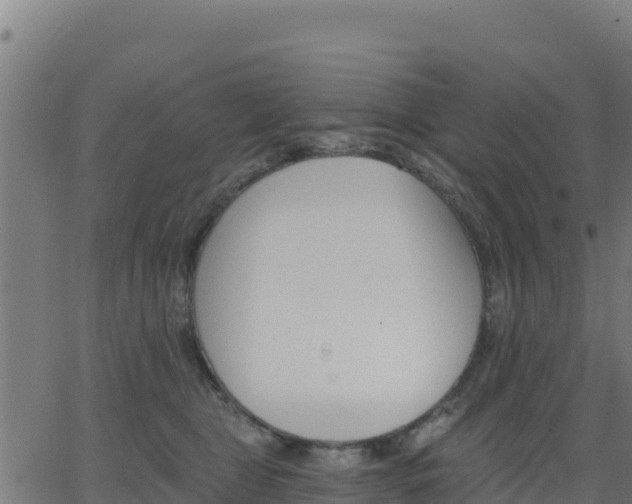 X0000062840469200601201642