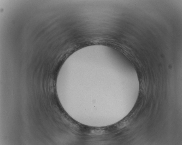 X0000062840470200601201642