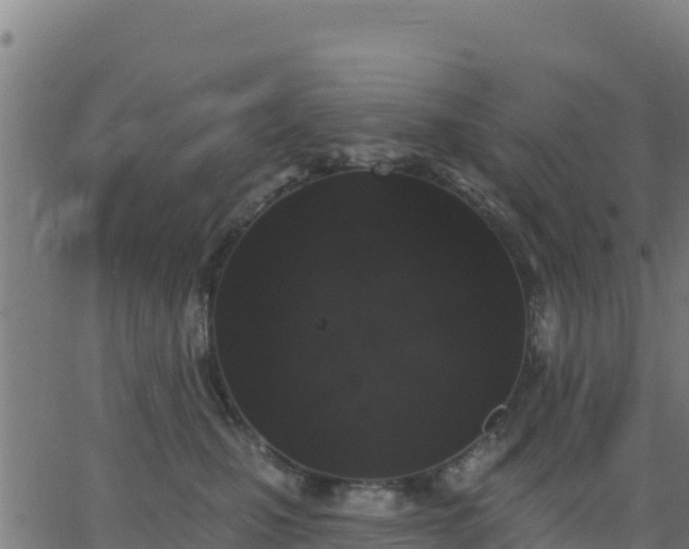 X0000062840471200601201642