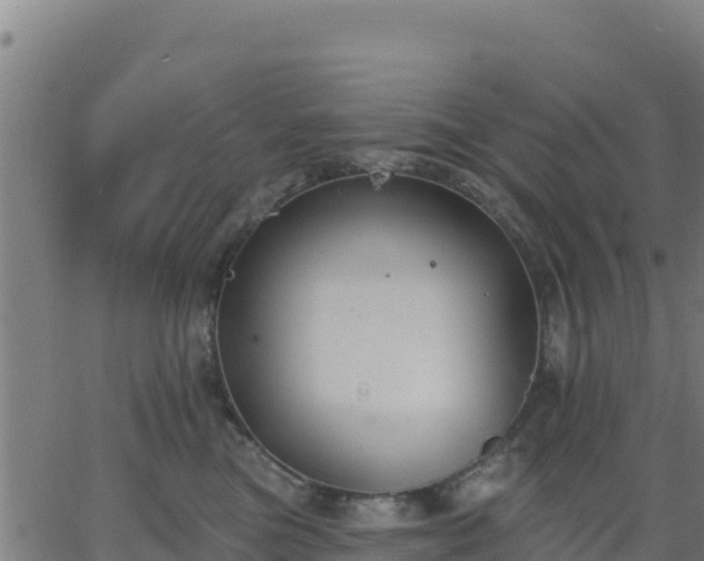 X0000062840473200601201642