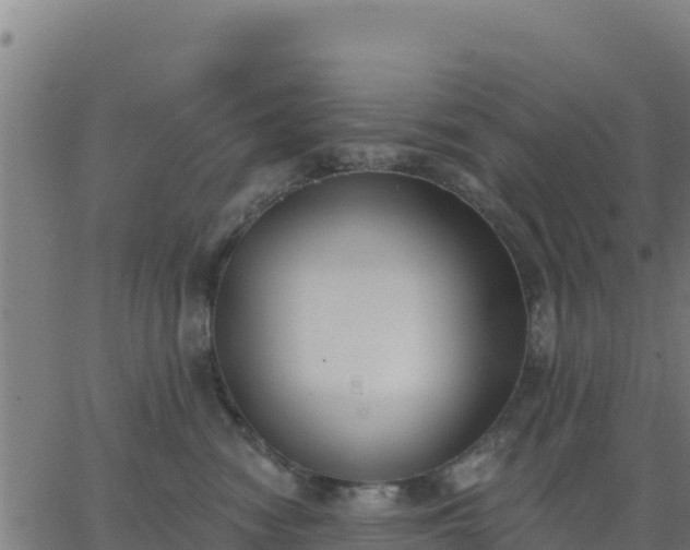 X0000062840474200601201642