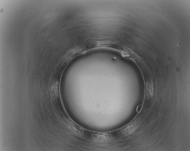 X0000062840475200601201642