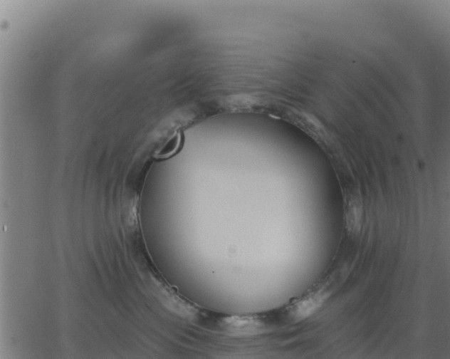 X0000062840477200601201643