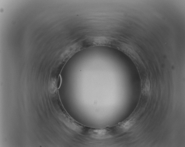 X0000062840478200601201643