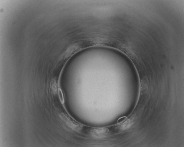 X0000062840479200601201643