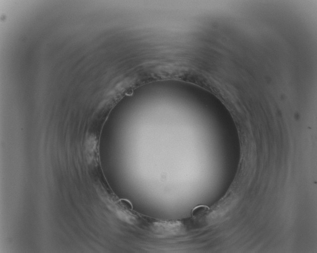 X0000062840480200601201643