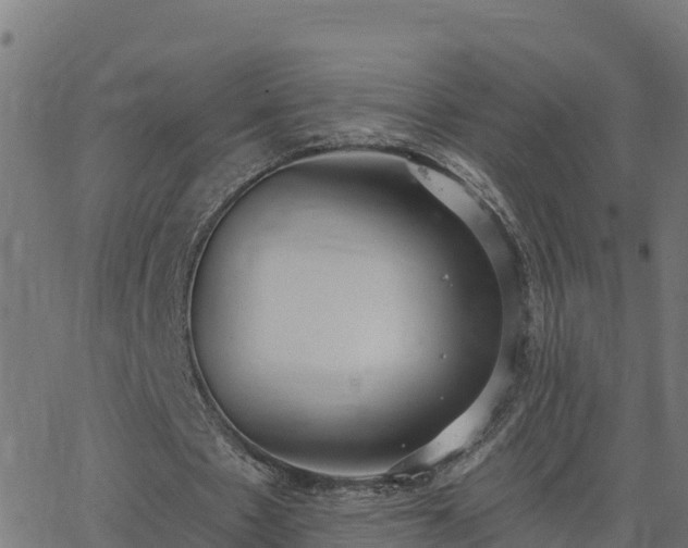 X0000062840481200601201642