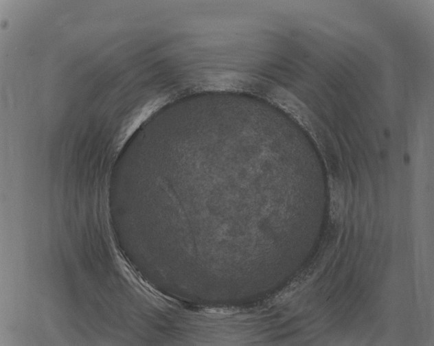 X0000062840482200601201642