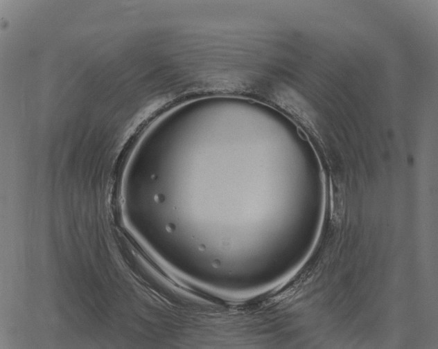 X0000062840483200601201642