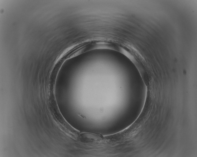 X0000062840484200601201642