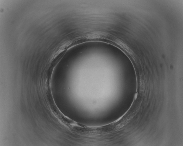 X0000062840485200601201642