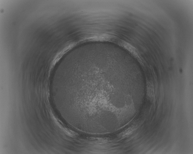 X0000062840486200601201642