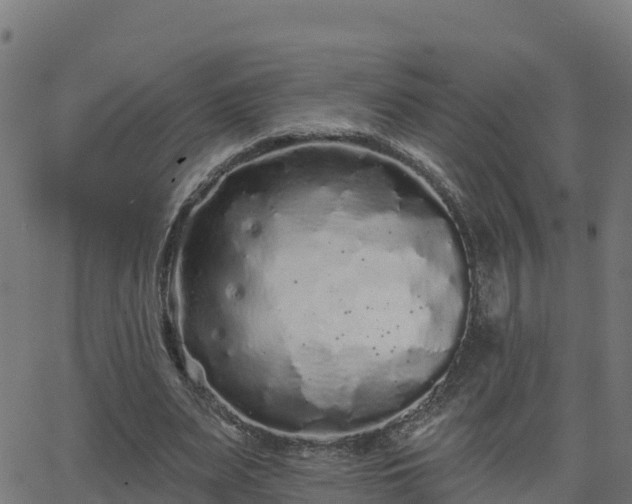 X0000062840487200601201642