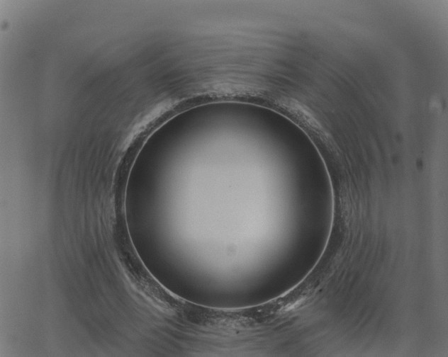 X0000062840488200601201642