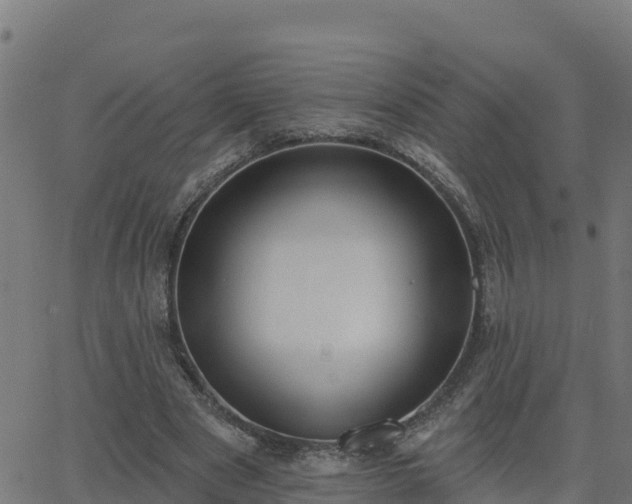 X0000062840489200601201642