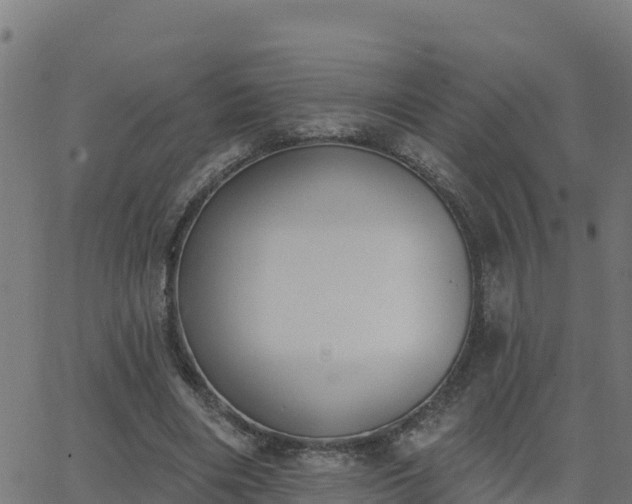 X0000062840490200601201642