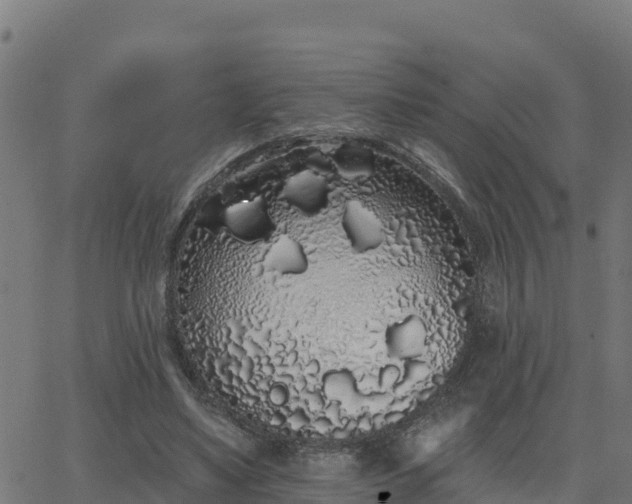 X0000062840491200601201642