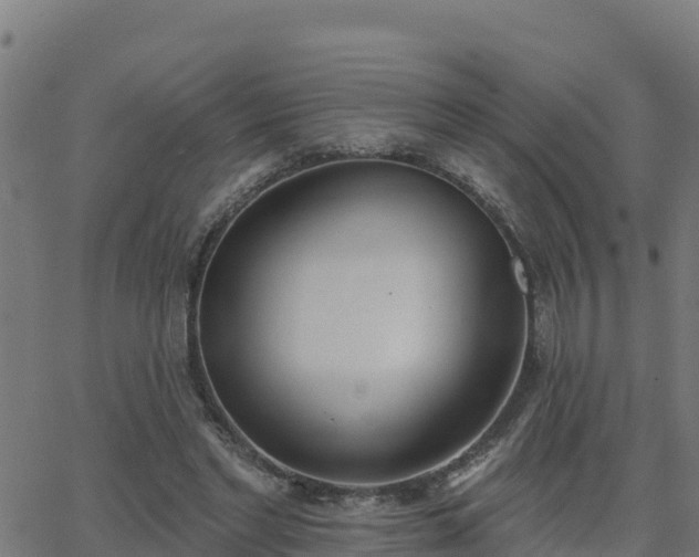 X0000062840493200601201641