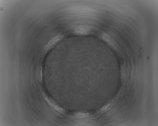 X0000062840494200601201641