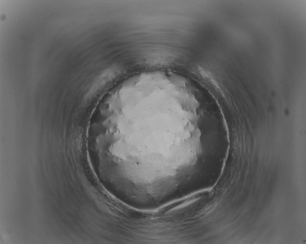 X0000062840495200601201641