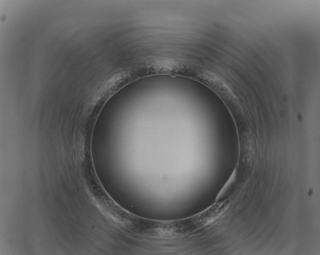 X0000062840496200601201641