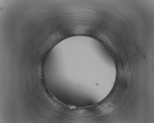 X0000062840497200601201641