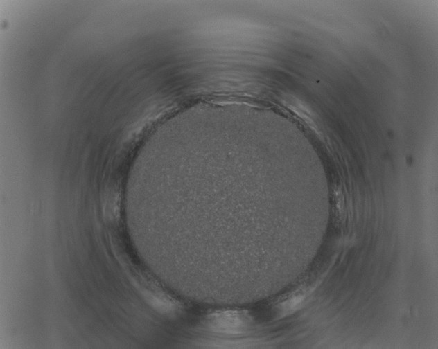 X0000062840499200601201641