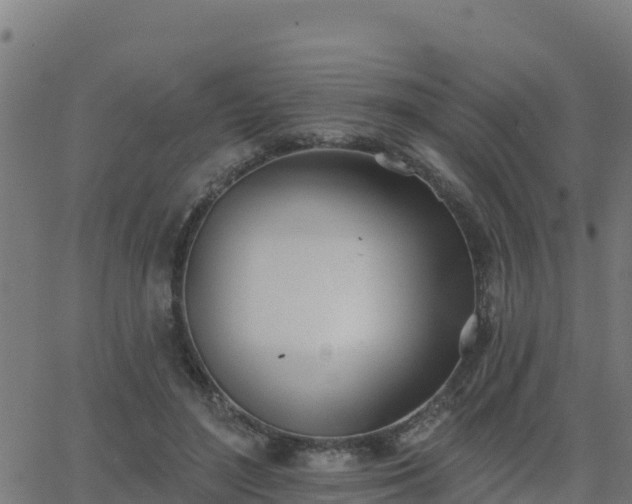 X0000062840500200601201641