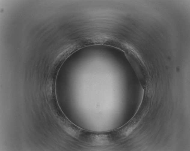 X0000062840501200601201641