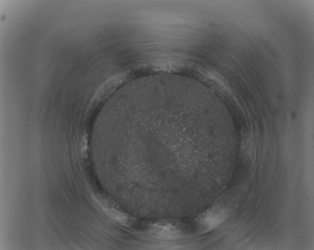 X0000062840502200601201641