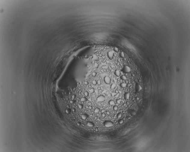 X0000062840503200601201641