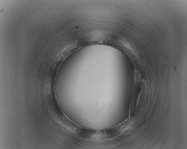 X0000062840504200601201641