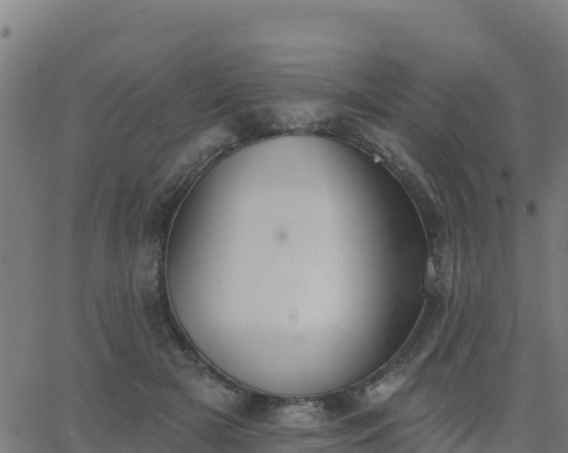 X0000062840505200601201641