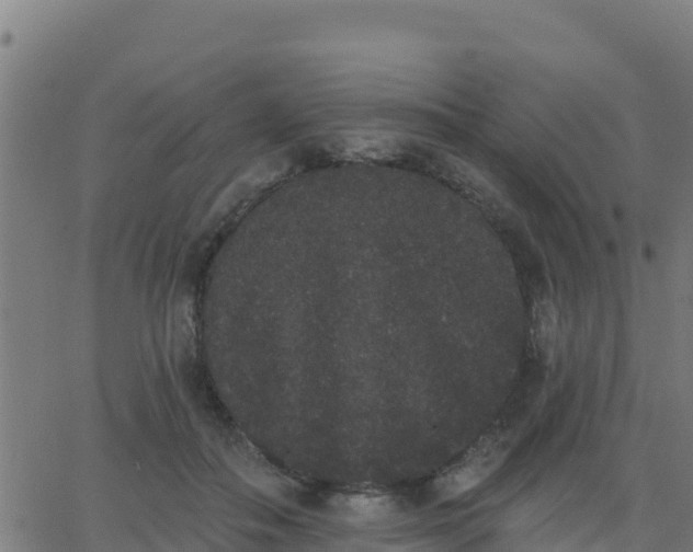 X0000062840506200601201641