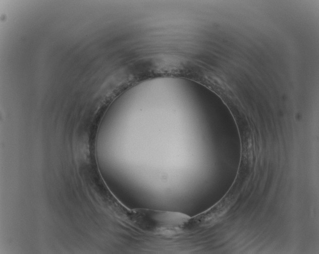 X0000062840508200601201641