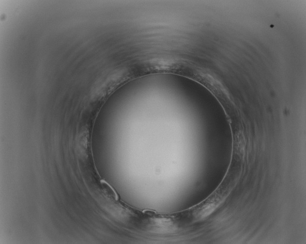 X0000062840509200601201641